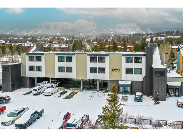 110 S Park Ave 124, Breckenridge, CO 80424