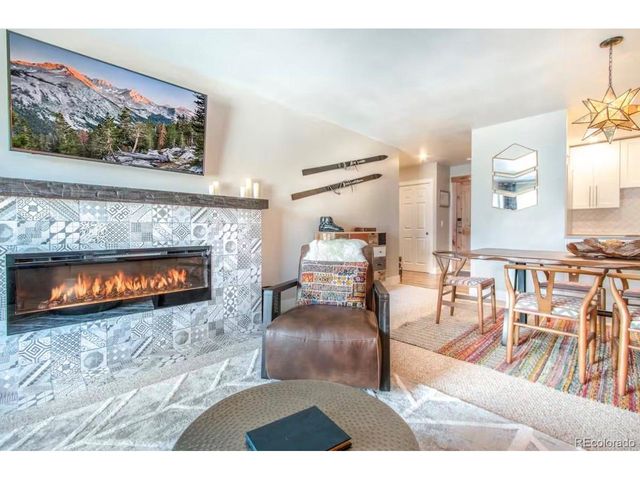 110 S Park Ave 124, Breckenridge, CO 80424