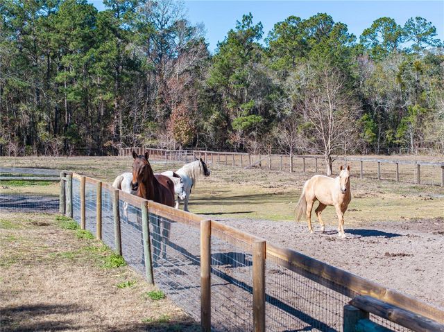 10720 NW 53RD TERRACE, Gainesville, FL 32653