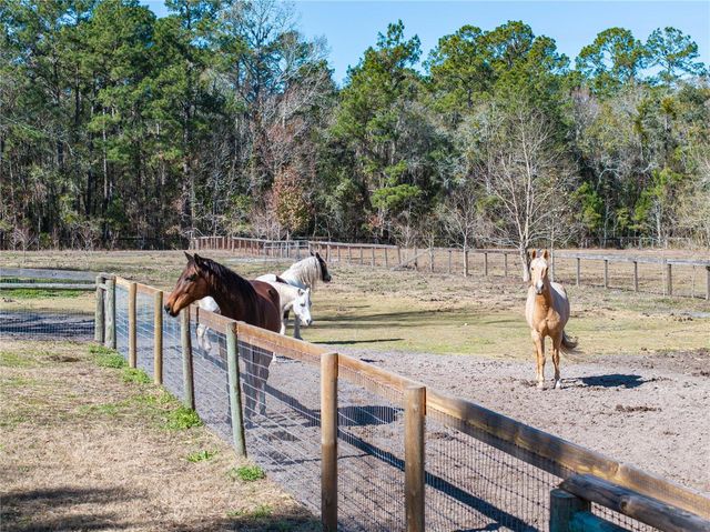 10720 NW 53RD TERRACE, Gainesville, FL 32653