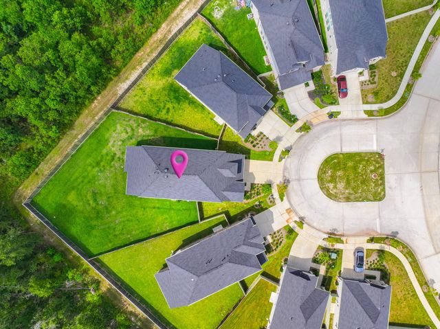 17914 Purple Amaranth, Conroe, TX 77385
