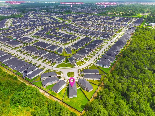 17914 Purple Amaranth, Conroe, TX 77385