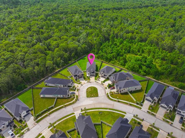 17914 Purple Amaranth, Conroe, TX 77385