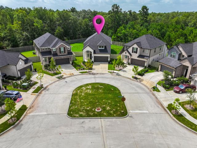 17914 Purple Amaranth, Conroe, TX 77385