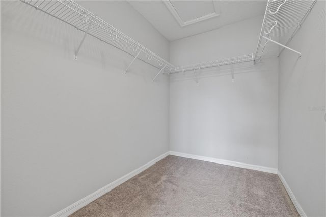 7020 SUMMER HOLLY PLACE, Riverview, FL 33578