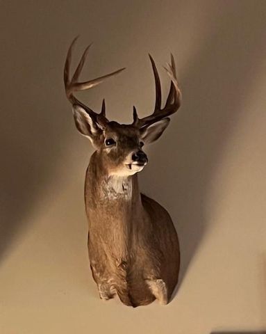 140 NW 1501 Road, Urich, MO 64788