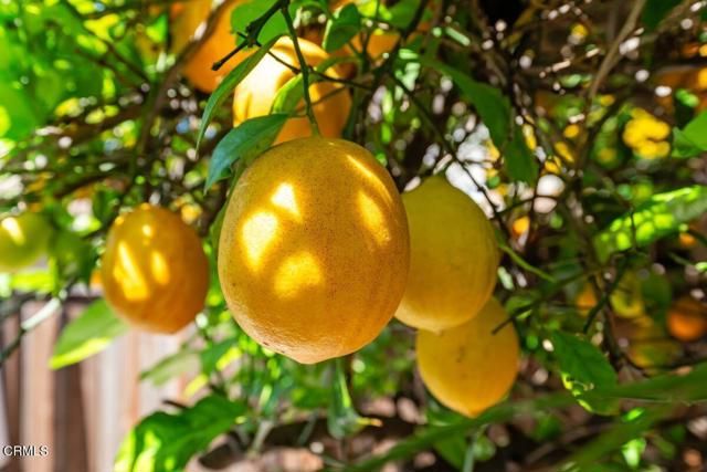 15124 Campus Park Drive C, Moorpark, CA 93021