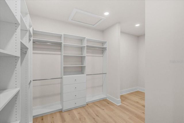 3317 CHASE JACKSON BRANCH, Lutz, FL 33559