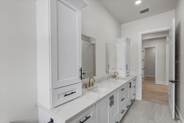 3317 CHASE JACKSON BRANCH, Lutz, FL 33559