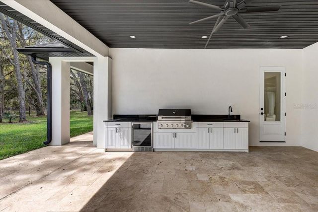 3317 CHASE JACKSON BRANCH, Lutz, FL 33559