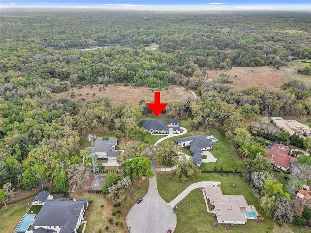 3317 CHASE JACKSON BRANCH, Lutz, FL 33559