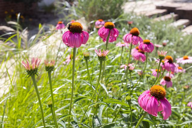 2502 Sevier Street, Durham, NC 27705