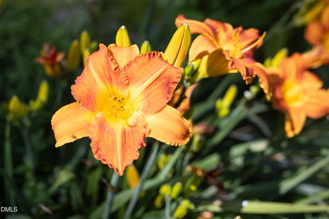 2502 Sevier Street, Durham, NC 27705