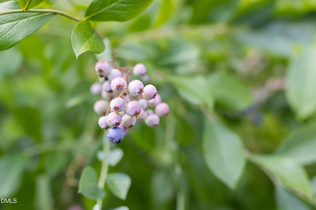 2502 Sevier Street, Durham, NC 27705