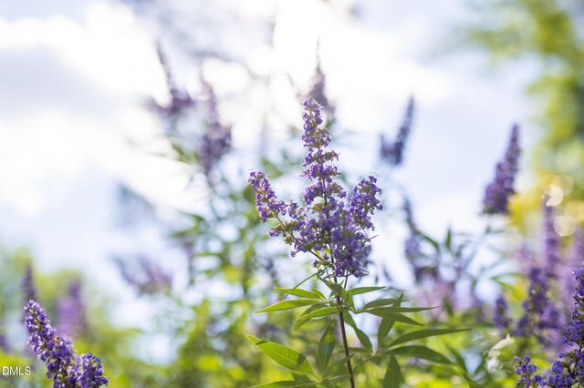 2502 Sevier Street, Durham, NC 27705