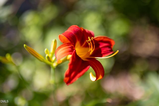 2502 Sevier Street, Durham, NC 27705