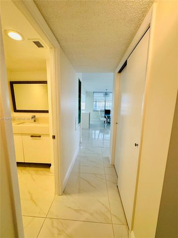 18041 Biscayne *boat Slip & * Boulevard 1605, Aventura, FL 33160