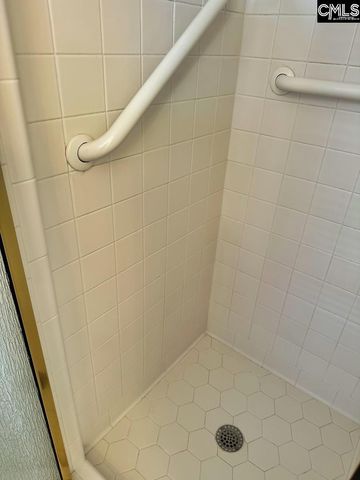 201 White Birch Circle, Columbia, SC 29223