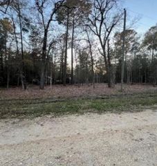 0 Deer 2 Trail, Livingston, TX 77351