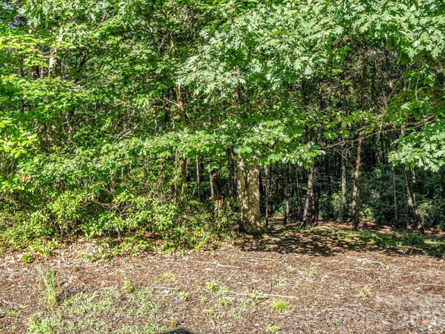 141 Dalton Court, Lake Lure, NC 28746