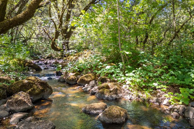 7722 Hidden Creek Lane, Shingletown, CA 96088