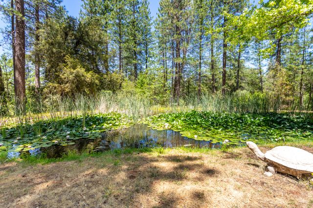 7722 Hidden Creek Lane, Shingletown, CA 96088