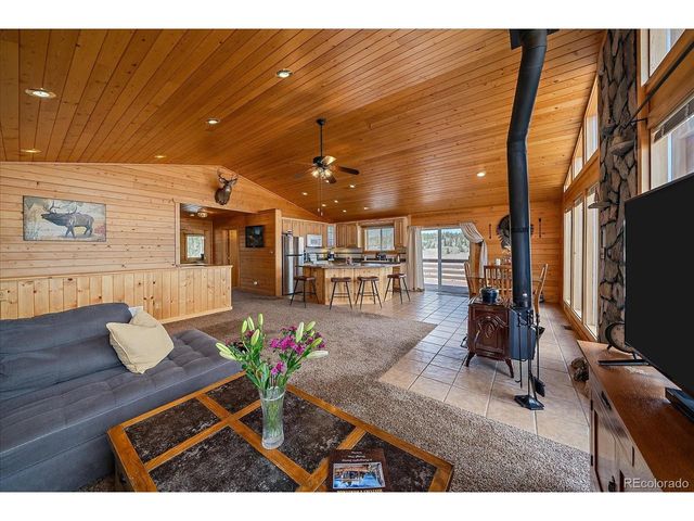 64 Flint Cir, Como, CO 80432