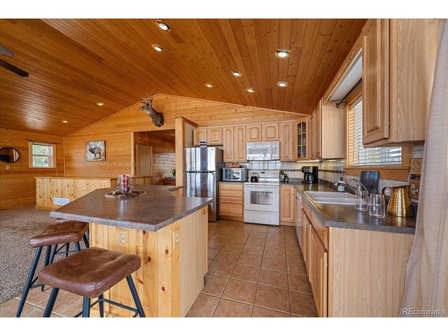 64 Flint Cir, Como, CO 80432
