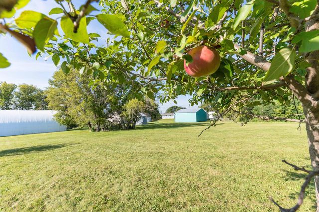 18702 County Highway 1, Buse Twp, MN 56537