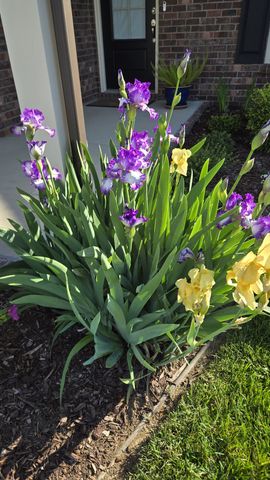 541 Weymouth Ln, Mount Juliet, TN 37122