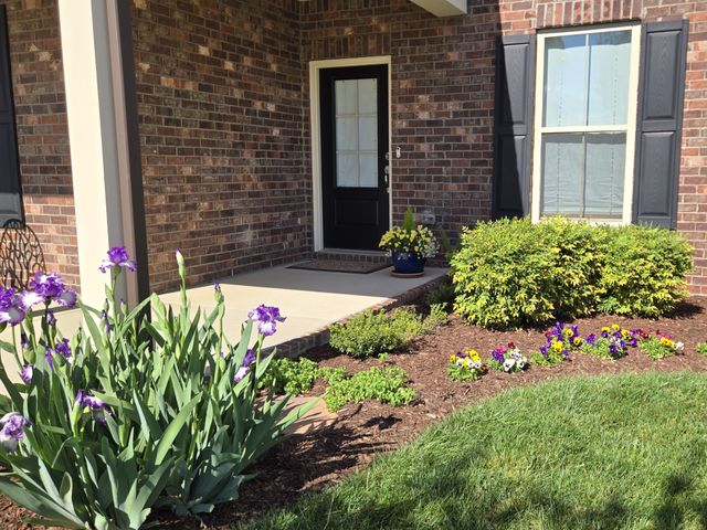 541 Weymouth Ln, Mount Juliet, TN 37122