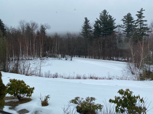 24 Antler Loop, Dover, VT 05356