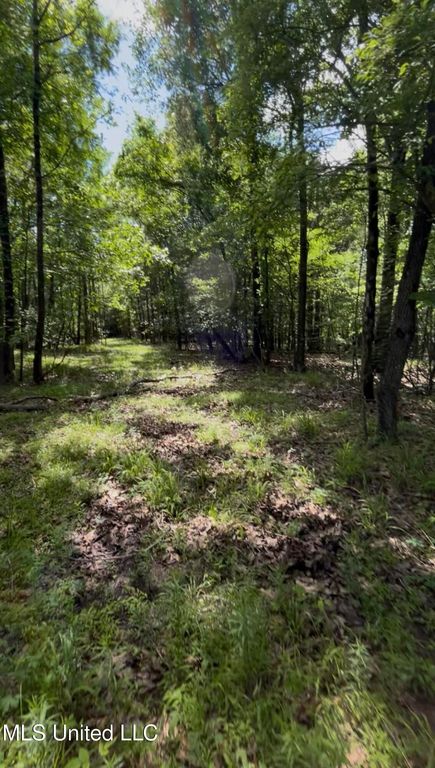 5135 S Hwy 51, Hernando, MS 38632 — photo 2