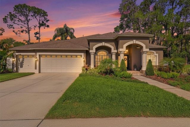 3629 WHISTLING LANE, Land O Lakes, FL 34639