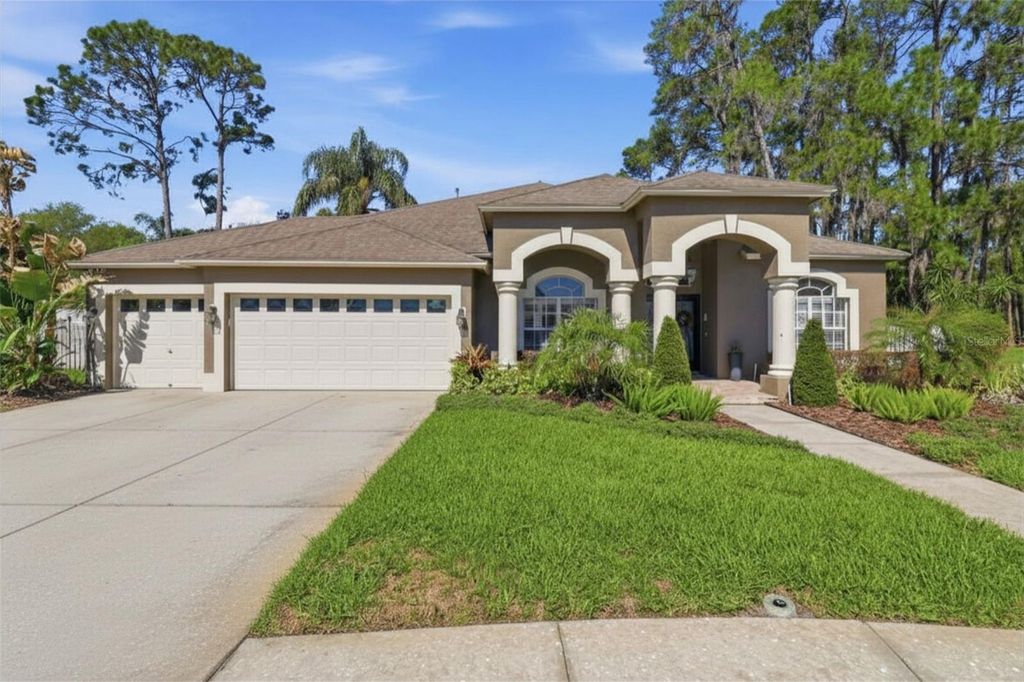3629 WHISTLING LANE, Land O Lakes, FL 34639