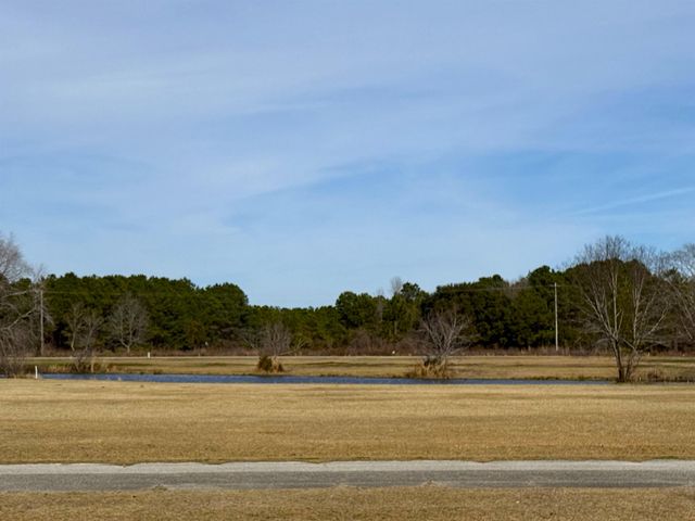 976 Briarwood Ct., Johnsonville, SC 29555