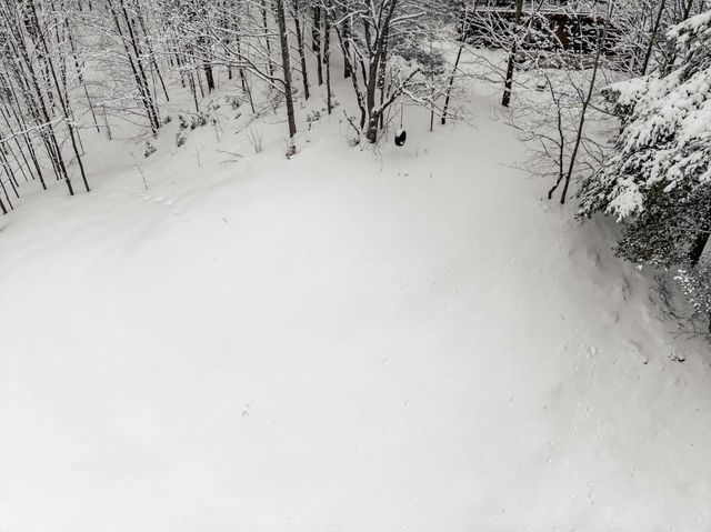 4144 S Sugar Loaf Mountain Road, Cleveland Twp, MI 49621