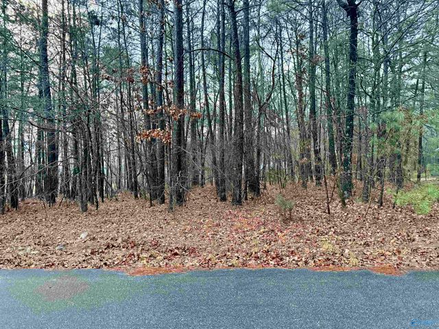 145 Oak Hill Drive, Centre, AL 35960