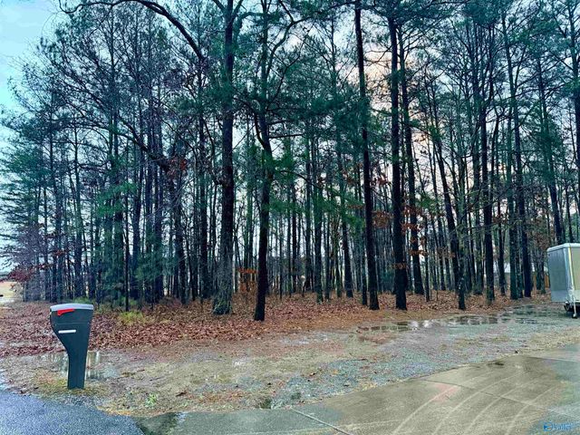 145 Oak Hill Drive, Centre, AL 35960