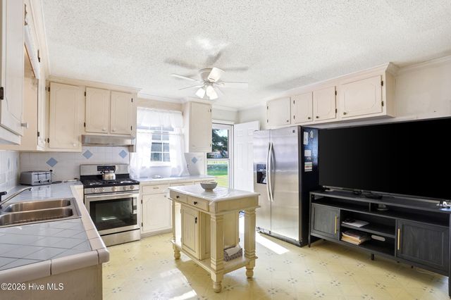 454 Buckhorn Road, Willard, NC 28478