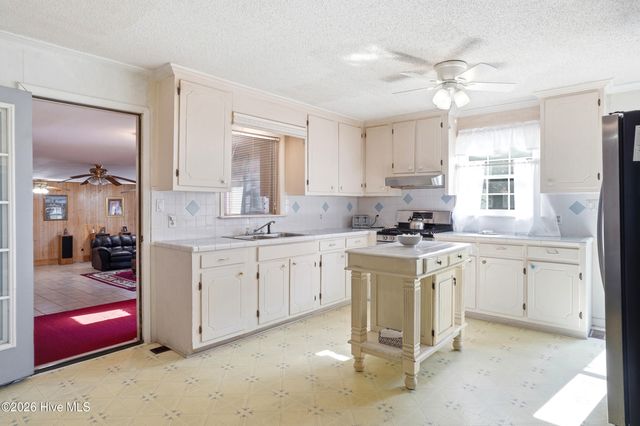 454 Buckhorn Road, Willard, NC 28478