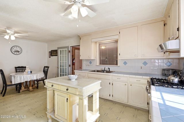454 Buckhorn Road, Willard, NC 28478