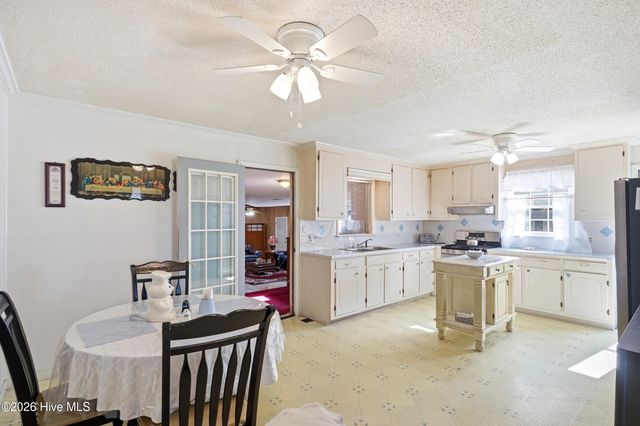 454 Buckhorn Road, Willard, NC 28478
