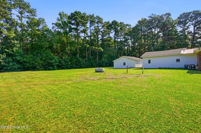 454 Buckhorn Road, Willard, NC 28478