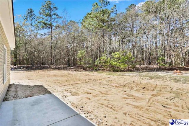 1022 Watkins Lane, Hartsville, SC 29550
