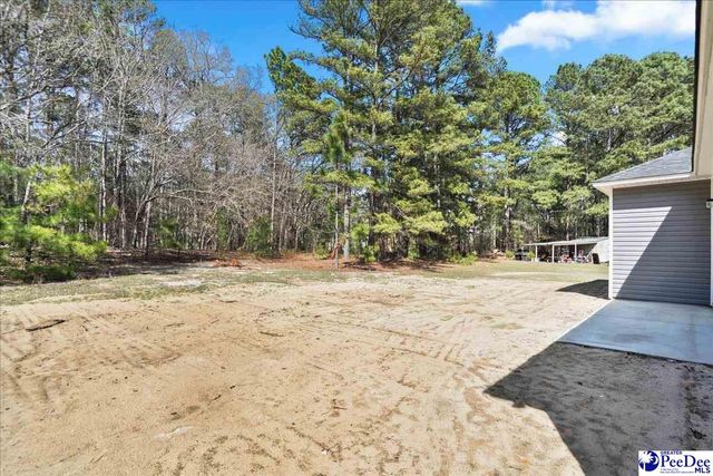 1022 Watkins Lane, Hartsville, SC 29550