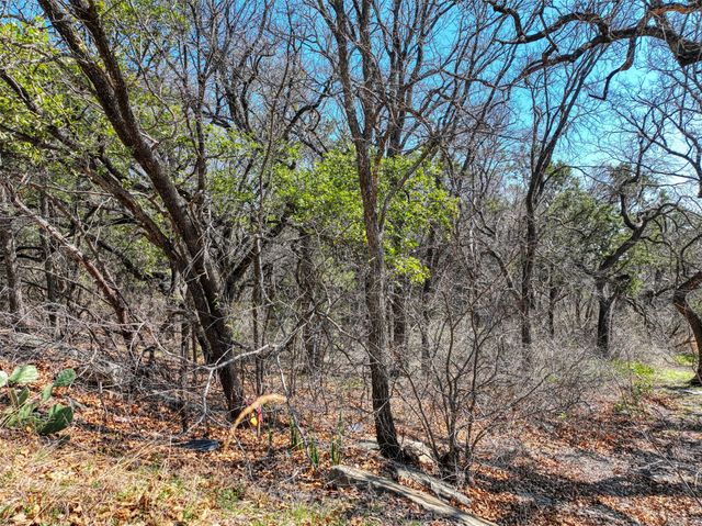 1115 Brazos Drive, Granbury, TX 76048