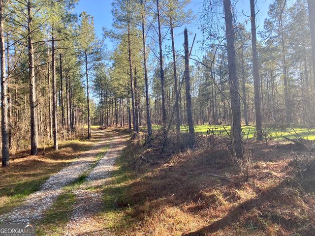 3312 Hunts Chapel Road, Sparta, GA 31087