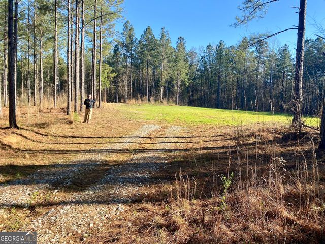 3312 Hunts Chapel Road, Sparta, GA 31087