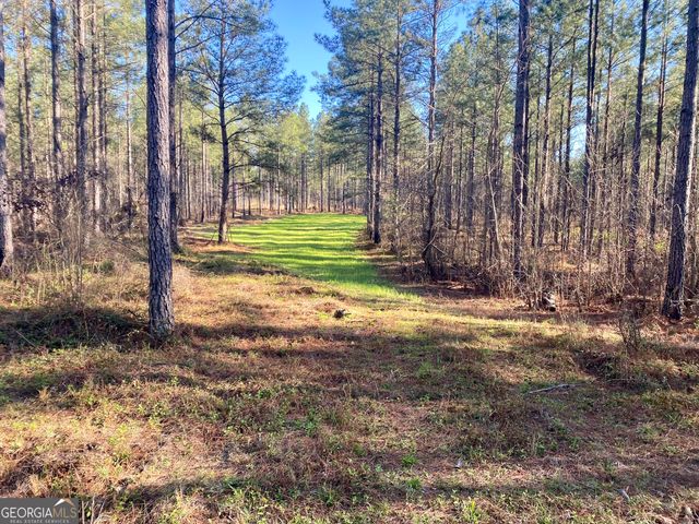 3312 Hunts Chapel Road, Sparta, GA 31087